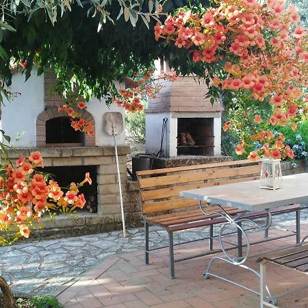 Casa Di Giulia Leilighet Santa Luce Eksteriør bilde