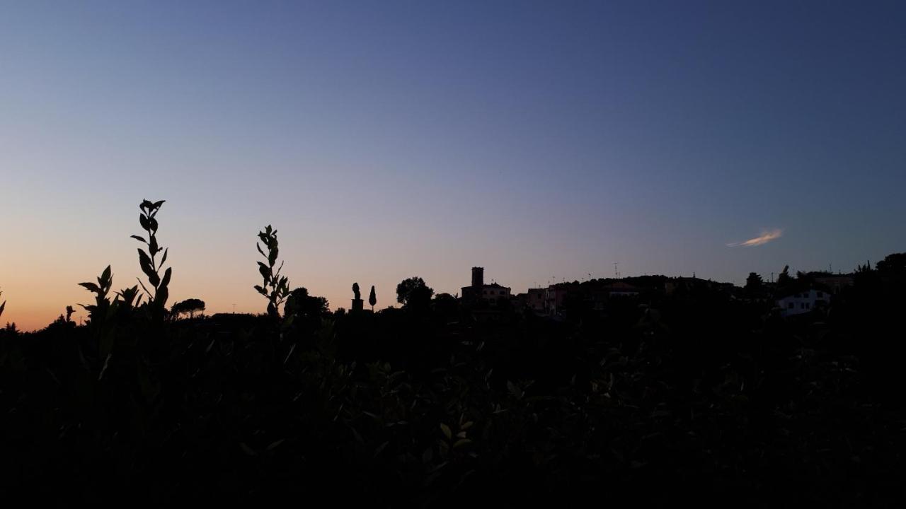 Casa Di Giulia Leilighet Santa Luce Eksteriør bilde